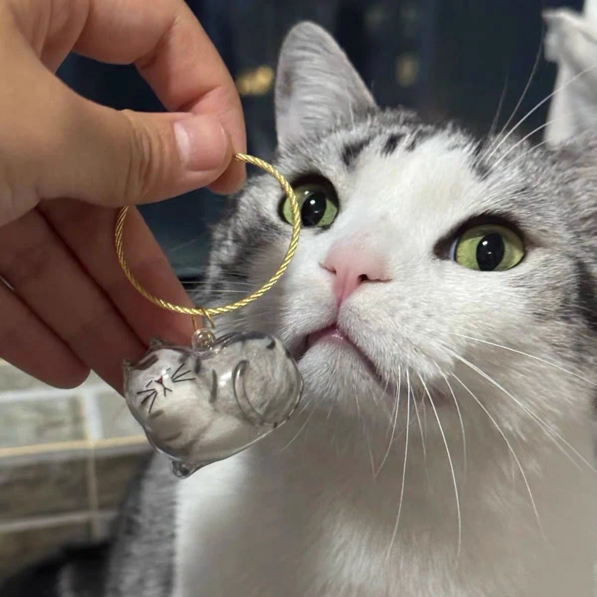 🐱 Cat Fur Keepsake Keychain 🐾