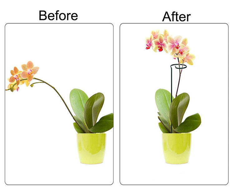 Multi-dimensional Plants Support Stick