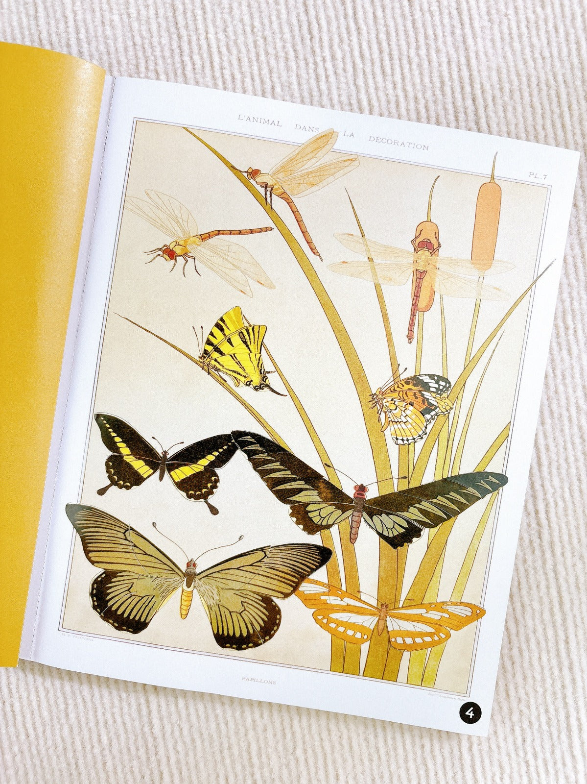 Petal Pages Wildflowers Sticker book