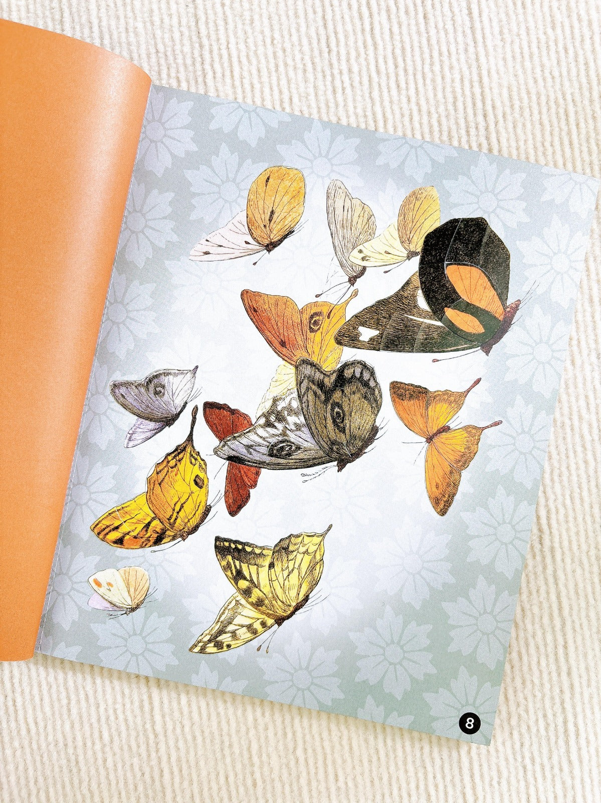 Petal Pages Wildflowers Sticker book