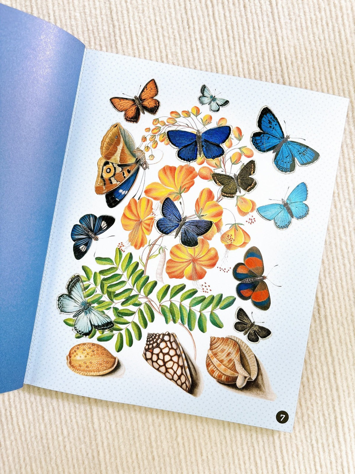 Petal Pages Wildflowers Sticker book