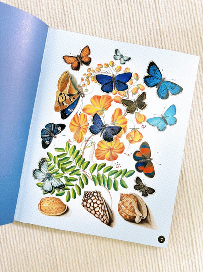 Petal Pages Wildflowers Sticker book